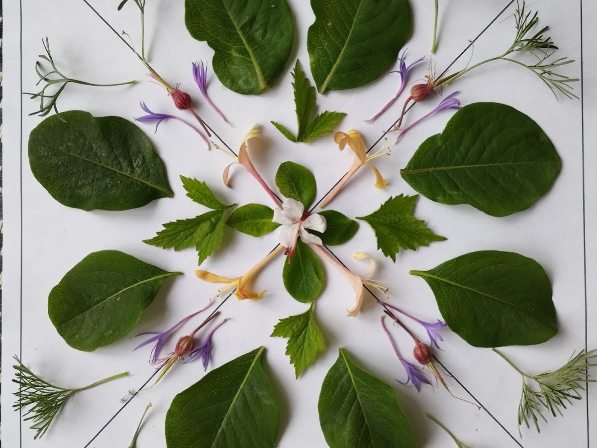 Symmetry in Nature&nbsp;Activity