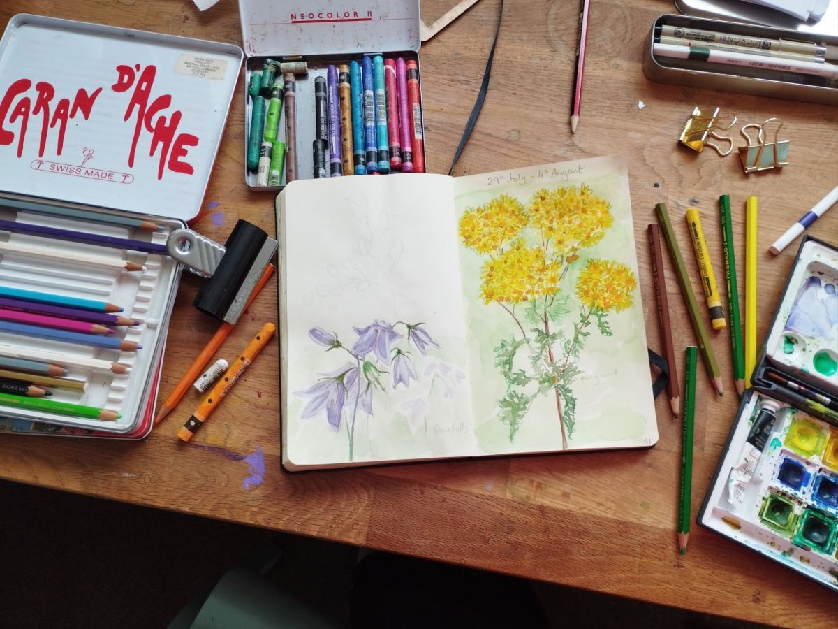 Challenges and Achievements: Halfway through the #52weeks&nbsp;Project