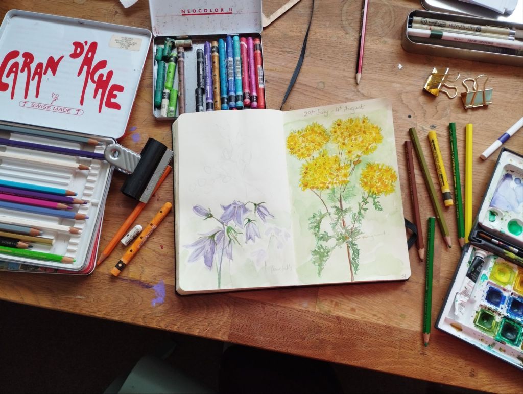 Challenges and Achievements: Halfway through the #52weeks&nbsp;Project