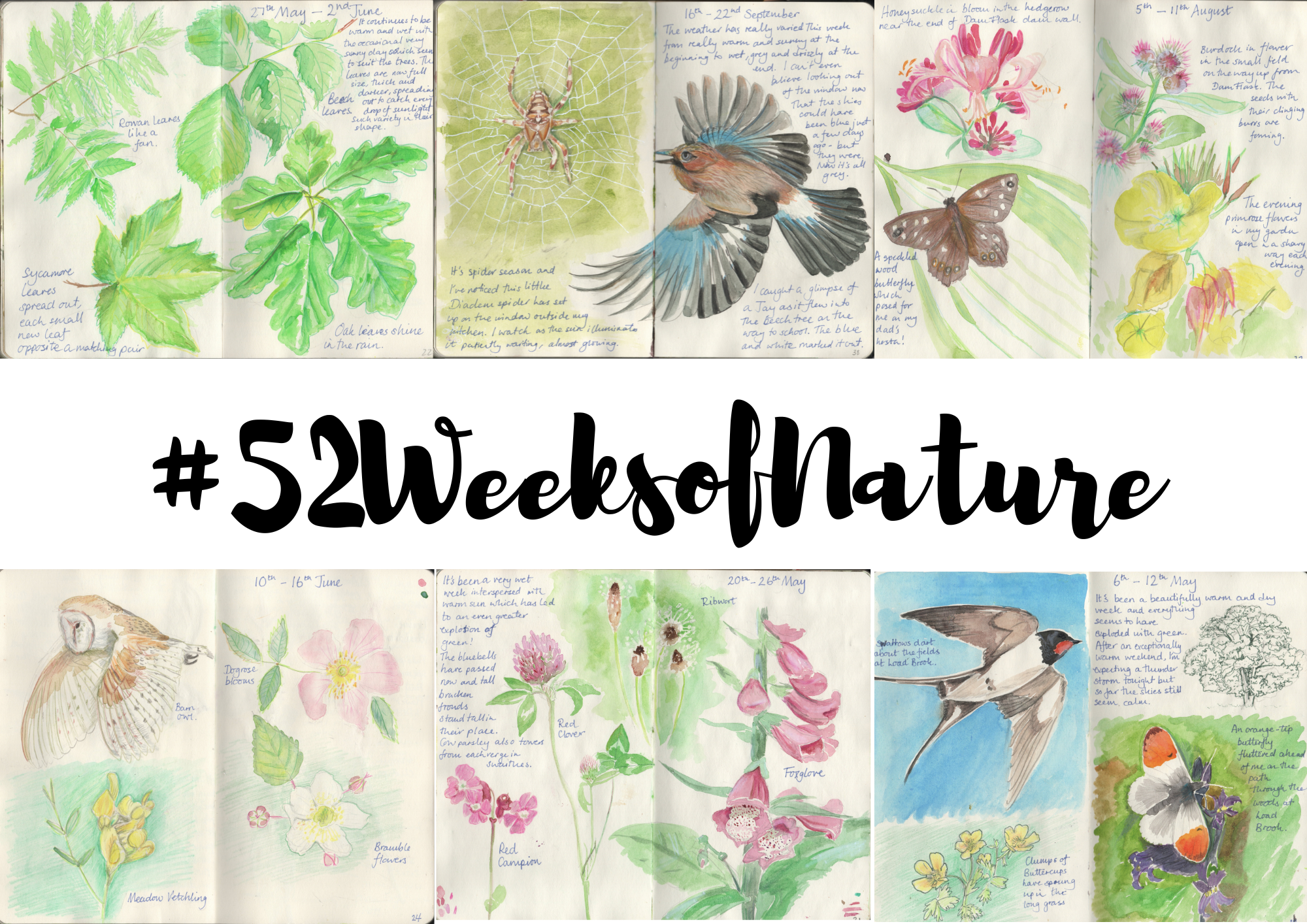 #52Weeks is over, Long live #52Weeks!
