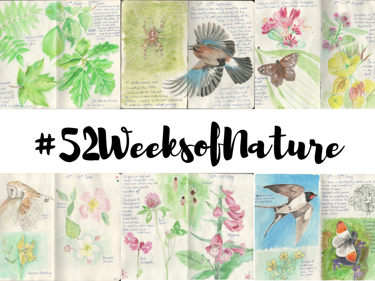 #52Weeks is over, Long live&nbsp;#52Weeks!