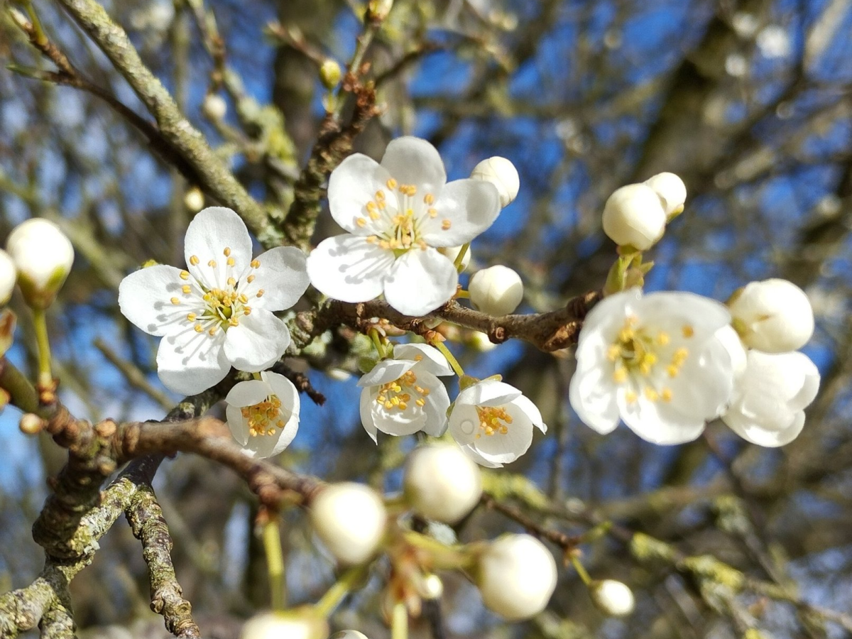April News